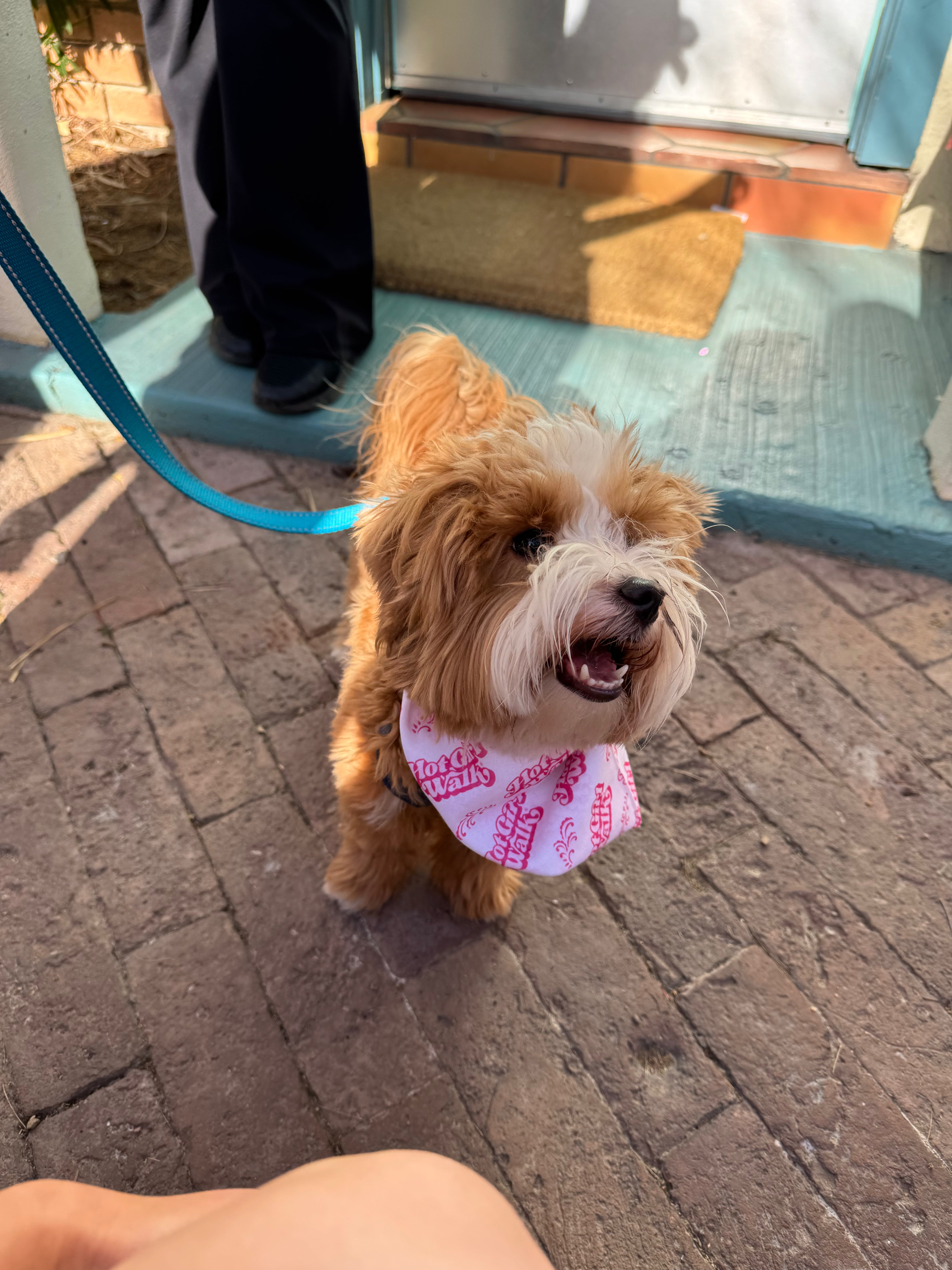 Hot Girl Walk® Bandana - Pink and White Set